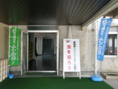 2011061602.jpg