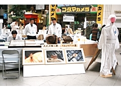 2010101607.jpg